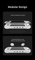MINILOONG POCKET 1 Handheld Game Console 4'' IPS Screen HD Output Open Source Systems OTA Upgrades LOONG OS New Console POCKET1